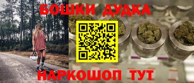 дмт Бийск