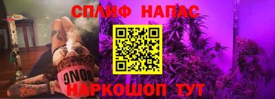дмт Бийск