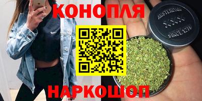 дмт Бийск