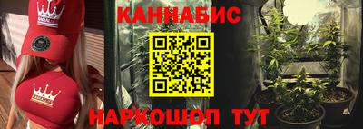 дмт Бийск