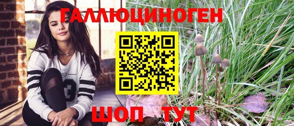 Псилоцибиновые грибы Psilocybe  Вход с VPN  Галлюциногенные грибы GOLDEN TEACHER  Заволжье 