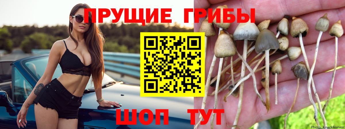 Псилоцибиновые грибы Magic Shrooms Заволжье